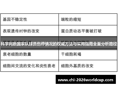 科学判断国家队球员伤停情况的权威方法与实用指南全面分析路径 科学判断国家队球员伤停情况的权威方法与实用指南全面分析路径